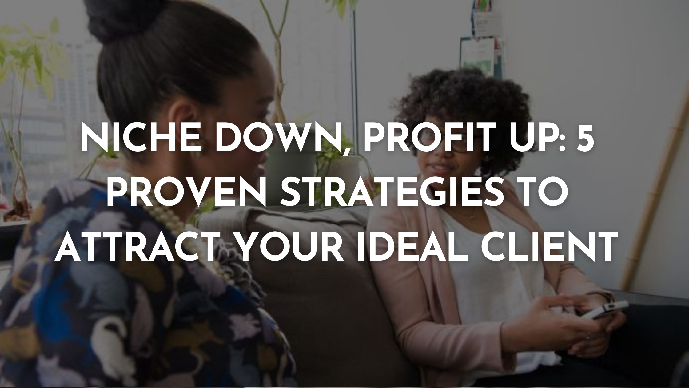 Niche Down, Profit Up: 5 Proven Strategies to Attract Your Ideal Client ...